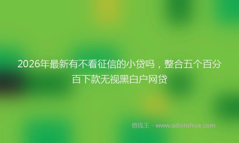 2026年最新有不看征信的小贷吗，整合五个百分百下款无视黑白户网贷
