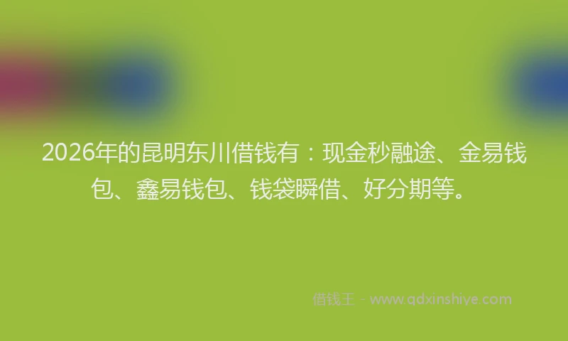 2026年的昆明东川借钱有：现金秒融途、金易钱包、鑫易钱包、钱袋瞬借、好分期等。