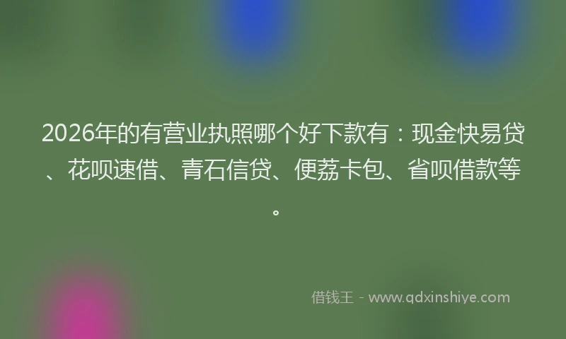2026年的有营业执照哪个好下款有：现金快易贷、花呗速借、青石信贷、便荔卡包、省呗借款等。