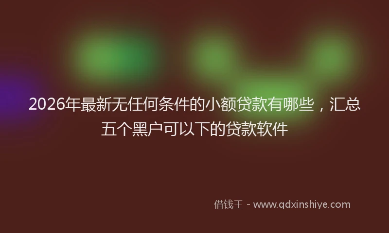 2026年最新无任何条件的小额贷款有哪些，汇总五个黑户可以下的贷款软件