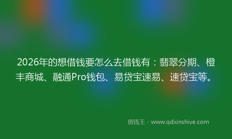 2026年的想借钱要怎么去借钱有：翡翠分期、橙丰商城、融通Pro钱包、易贷宝速易、速贷宝等。
