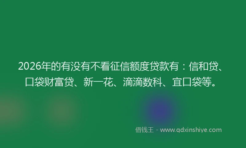 2026年的有没有不看征信额度贷款有：信和贷、口袋财富贷、新一花、滴滴数科、宜口袋等。
