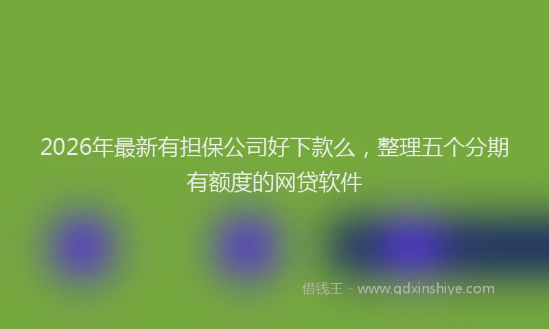2026年最新有担保公司好下款么，整理五个分期有额度的网贷软件