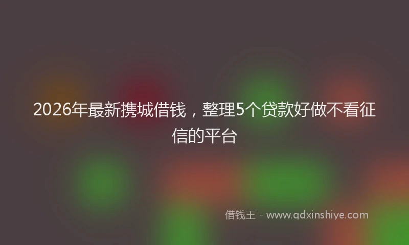 2026年最新携城借钱，整理5个贷款好做不看征信的平台
