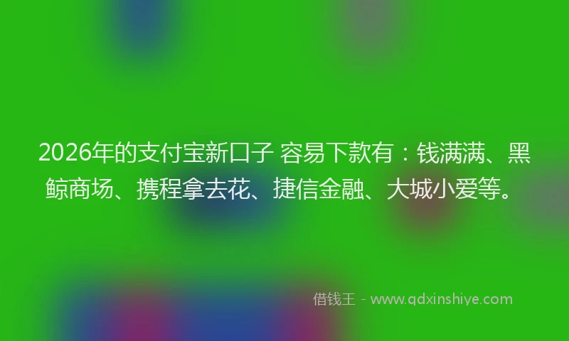 2026年的支付宝新口子 容易下款有：钱满满、黑鲸商场、携程拿去花、捷信金融、大城小爱等。