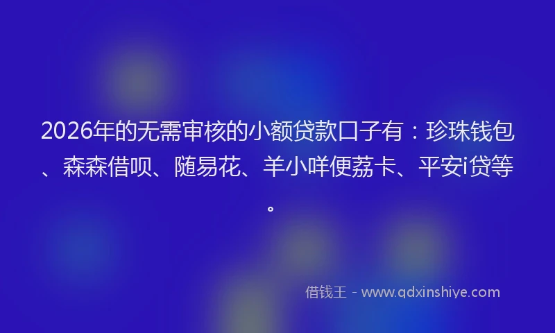2026年的无需审核的小额贷款口子有：珍珠钱包、森森借呗、随易花、羊小咩便荔卡、平安i贷等。
