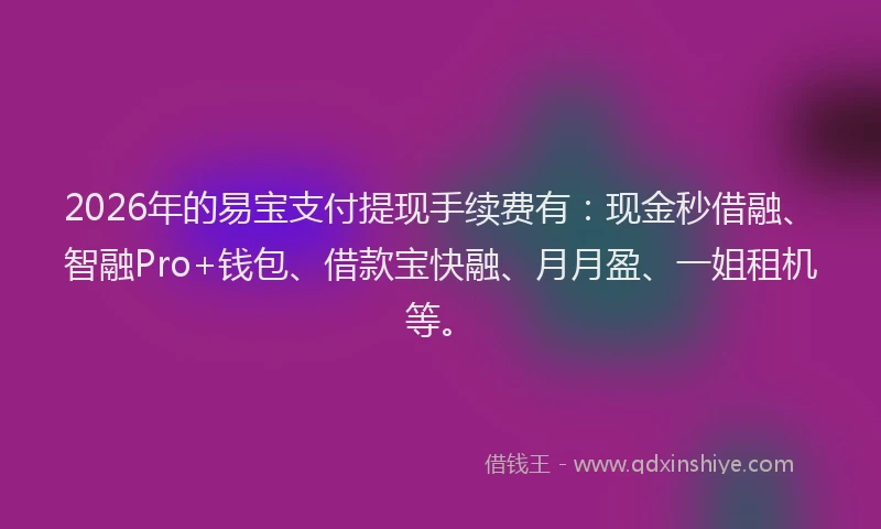 2026年的易宝支付提现手续费有：现金秒借融、智融Pro+钱包、借款宝快融、月月盈、一姐租机等。