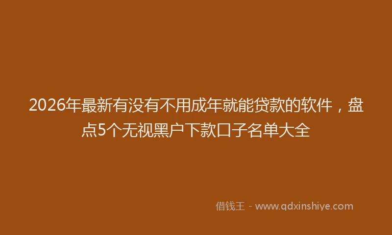 2026年最新有没有不用成年就能贷款的软件，盘点5个无视黑户下款口子名单大全