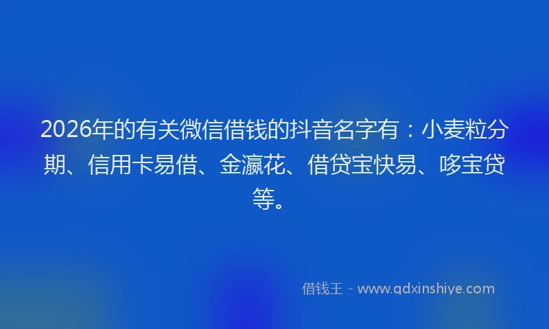2026年的有关微信借钱的抖音名字有：小麦粒分期、信用卡易借、金瀛花、借贷宝快易、哆宝贷等。