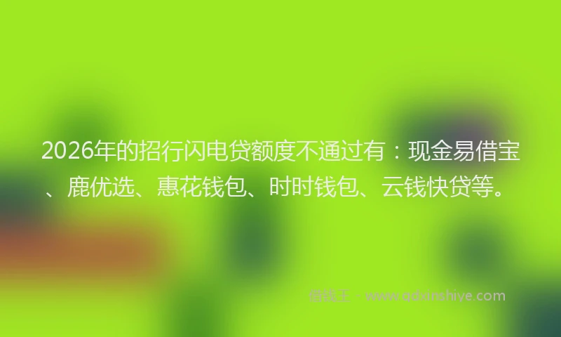 2026年的招行闪电贷额度不通过有：现金易借宝、鹿优选、惠花钱包、时时钱包、云钱快贷等。