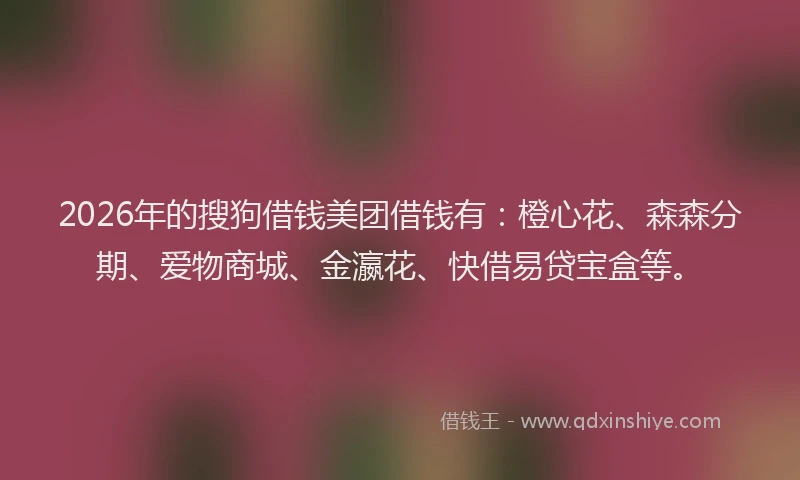 2026年的搜狗借钱美团借钱有：橙心花、森森分期、爱物商城、金瀛花、快借易贷宝盒等。