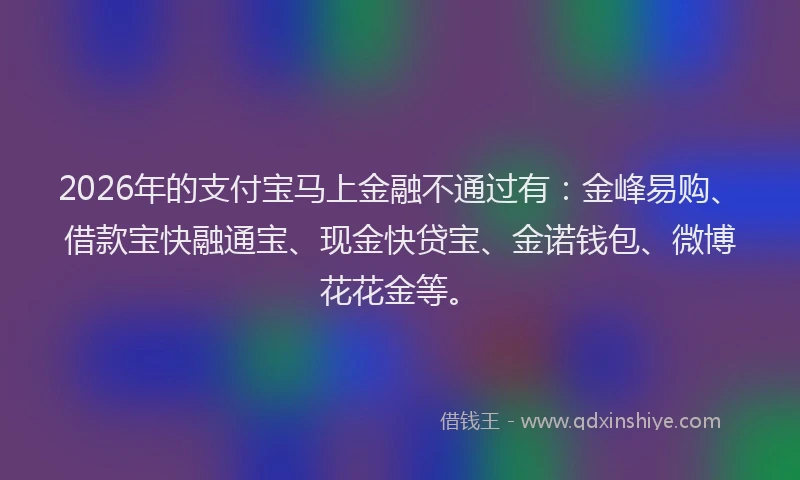 2026年的支付宝马上金融不通过有：金峰易购、借款宝快融通宝、现金快贷宝、金诺钱包、微博花花金等。