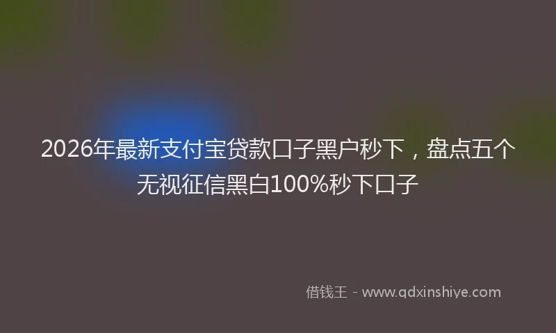 2026年最新支付宝贷款口子黑户秒下，盘点五个无视征信黑白100%秒下口子