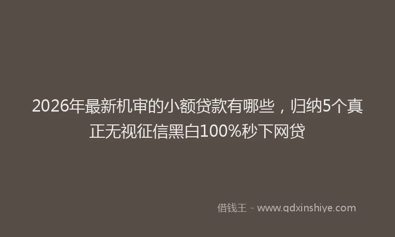 2026年最新机审的小额贷款有哪些，归纳5个真正无视征信黑白100%秒下网贷