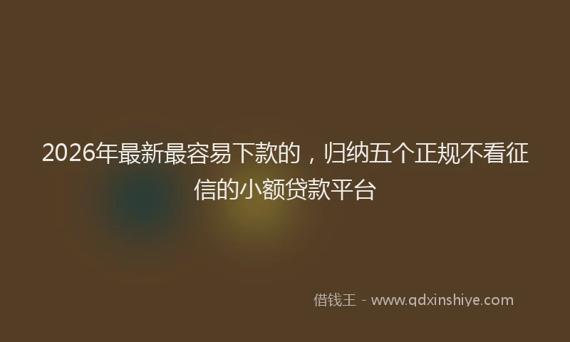 2026年最新最容易下款的，归纳五个正规不看征信的小额贷款平台