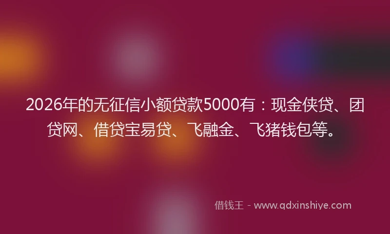 2026年的无征信小额贷款5000有：现金侠贷、团贷网、借贷宝易贷、飞融金、飞猪钱包等。