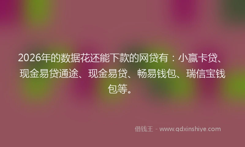 2026年的数据花还能下款的网贷有：小赢卡贷、现金易贷通途、现金易贷、畅易钱包、瑞信宝钱包等。