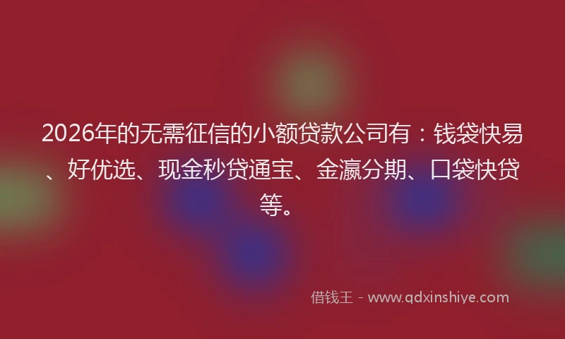 2026年的无需征信的小额贷款公司有：钱袋快易、好优选、现金秒贷通宝、金瀛分期、口袋快贷等。