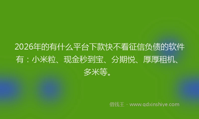 2026年的有什么平台下款快不看征信负债的软件有：小米粒、现金秒到宝、分期悦、厚厚租机、多米等。