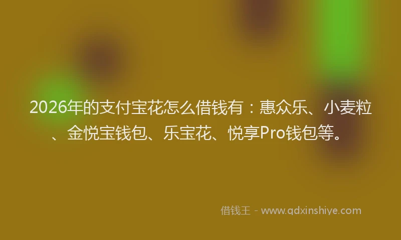 2026年的支付宝花怎么借钱有：惠众乐、小麦粒、金悦宝钱包、乐宝花、悦享Pro钱包等。