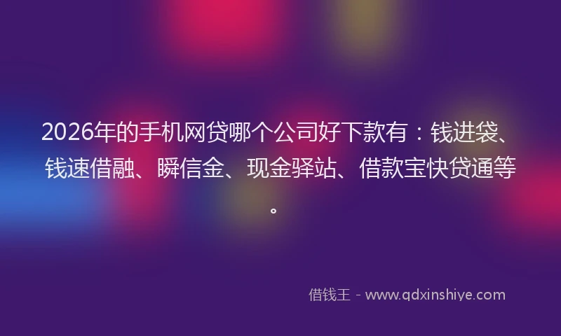 2026年的手机网贷哪个公司好下款有：钱进袋、钱速借融、瞬信金、现金驿站、借款宝快贷通等。