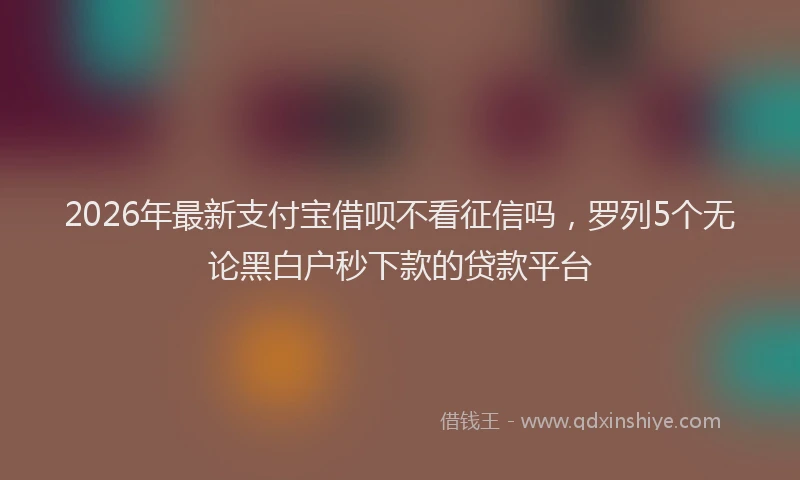 2026年最新支付宝借呗不看征信吗，罗列5个无论黑白户秒下款的贷款平台