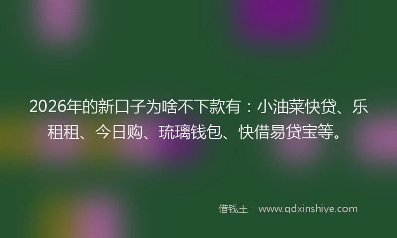 2026年的新口子为啥不下款有：小油菜快贷、乐租租、今日购、琉璃钱包、快借易贷宝等。