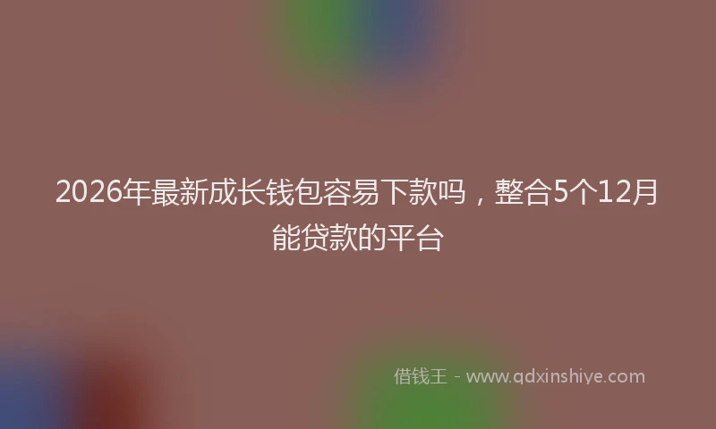 2026年最新成长钱包容易下款吗，整合5个12月能贷款的平台