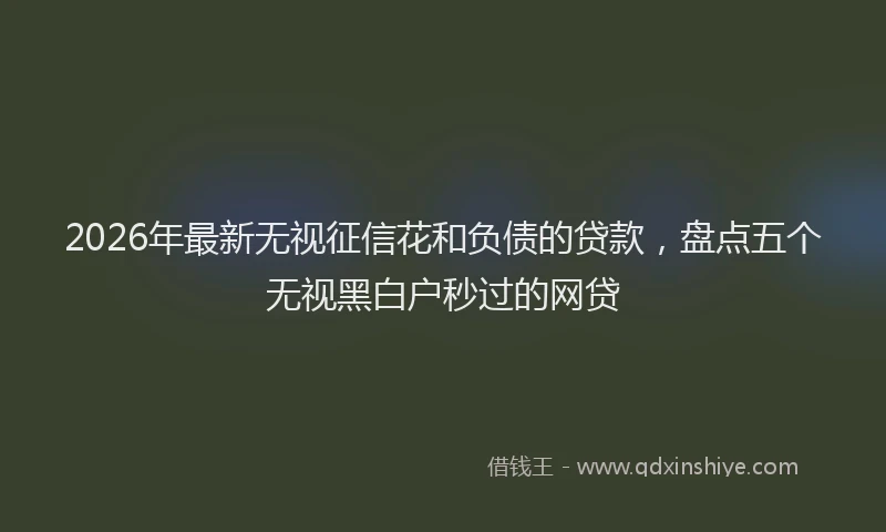 2026年最新无视征信花和负债的贷款，盘点五个无视黑白户秒过的网贷