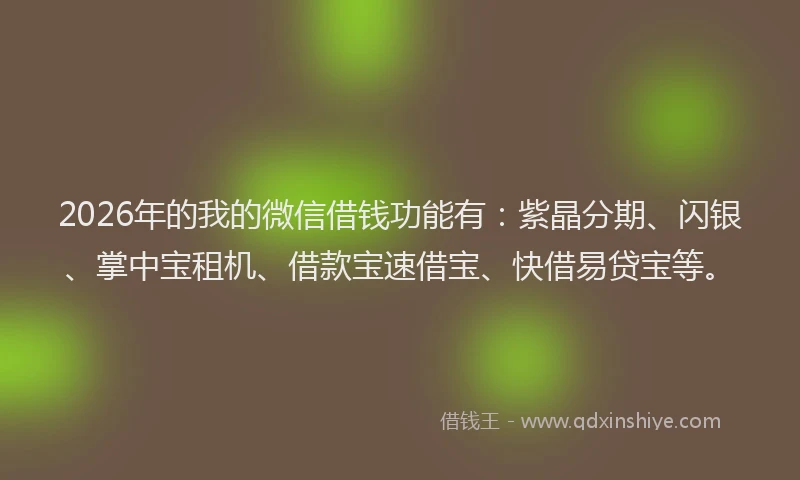 2026年的我的微信借钱功能有：紫晶分期、闪银、掌中宝租机、借款宝速借宝、快借易贷宝等。