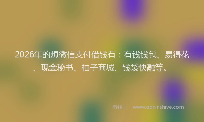 2026年的想微信支付借钱有：有钱钱包、易得花、现金秘书、柚子商城、钱袋快融等。