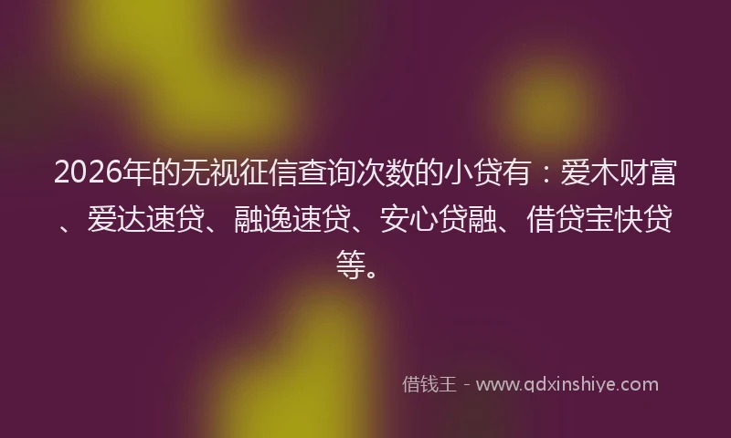 2026年的无视征信查询次数的小贷有：爱木财富、爱达速贷、融逸速贷、安心贷融、借贷宝快贷等。