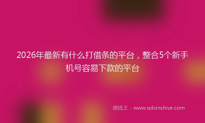 2026年最新有什么打借条的平台，整合5个新手机号容易下款的平台