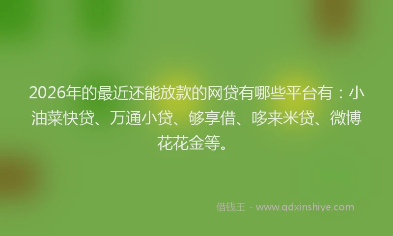 2026年的最近还能放款的网贷有哪些平台有：小油菜快贷、万通小贷、够享借、哆来米贷、微博花花金等。