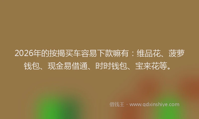 2026年的按揭买车容易下款嘛有：维品花、菠萝钱包、现金易借通、时时钱包、宝来花等。