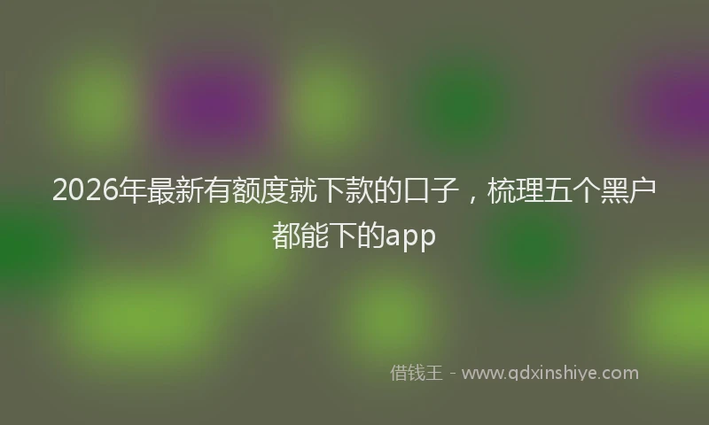 2026年最新有额度就下款的口子，梳理五个黑户都能下的app