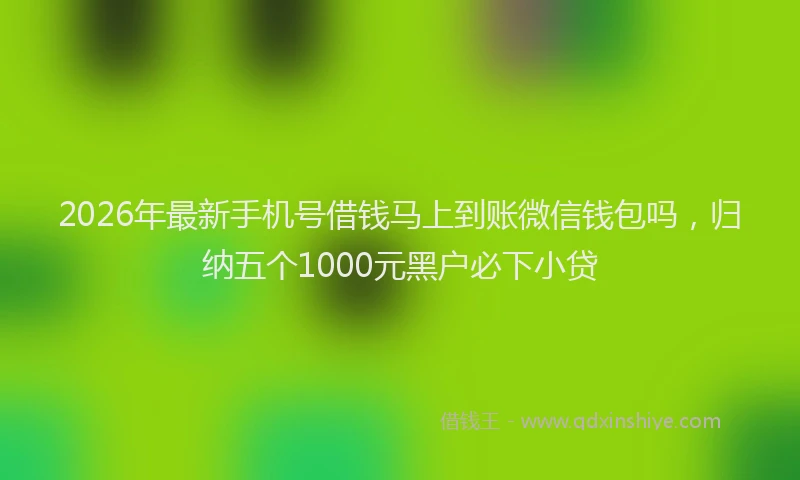 2026年最新手机号借钱马上到账微信钱包吗，归纳五个1000元黑户必下小贷