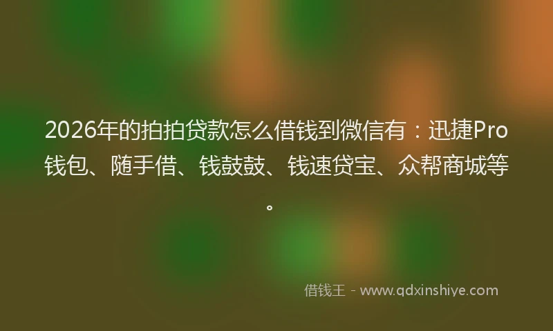 2026年的拍拍贷款怎么借钱到微信有：迅捷Pro钱包、随手借、钱鼓鼓、钱速贷宝、众帮商城等。