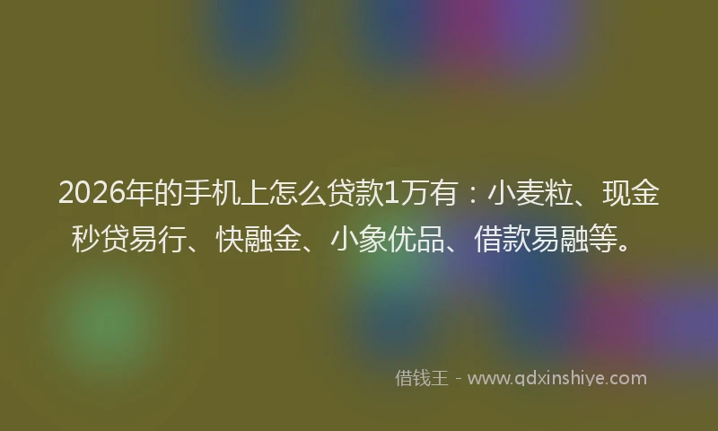 2026年的手机上怎么贷款1万有：小麦粒、现金秒贷易行、快融金、小象优品、借款易融等。
