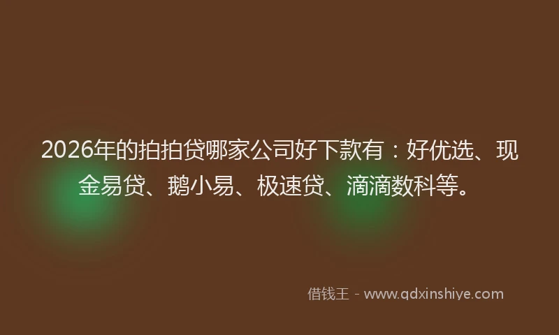 2026年的拍拍贷哪家公司好下款有：好优选、现金易贷、鹅小易、极速贷、滴滴数科等。