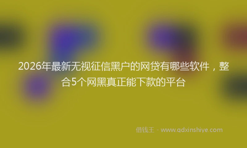2026年最新无视征信黑户的网贷有哪些软件，整合5个网黑真正能下款的平台