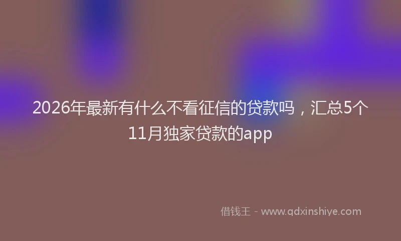 2026年最新有什么不看征信的贷款吗，汇总5个11月独家贷款的app
