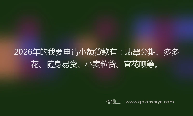 2026年的我要申请小额贷款有：翡翠分期、多多花、随身易贷、小麦粒贷、宜花呗等。