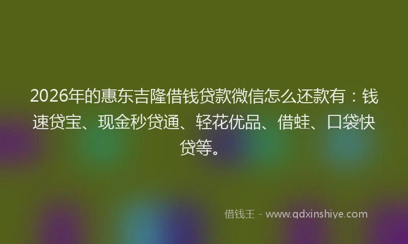 2026年的惠东吉隆借钱贷款微信怎么还款有：钱速贷宝、现金秒贷通、轻花优品、借蛙、口袋快贷等。