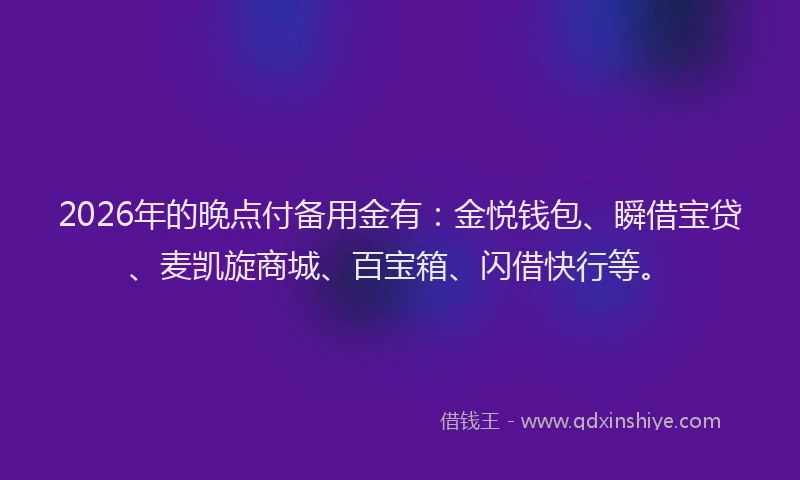 2026年的晚点付备用金有：金悦钱包、瞬借宝贷、麦凯旋商城、百宝箱、闪借快行等。