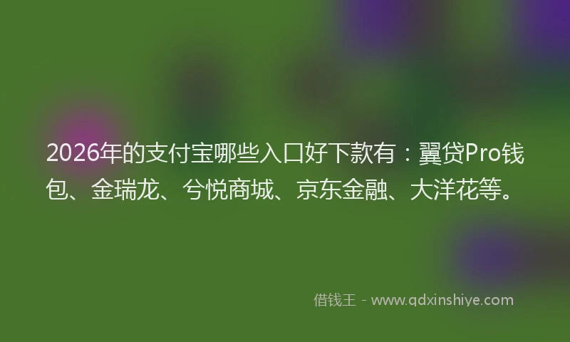 2026年的支付宝哪些入口好下款有：翼贷Pro钱包、金瑞龙、兮悦商城、京东金融、大洋花等。