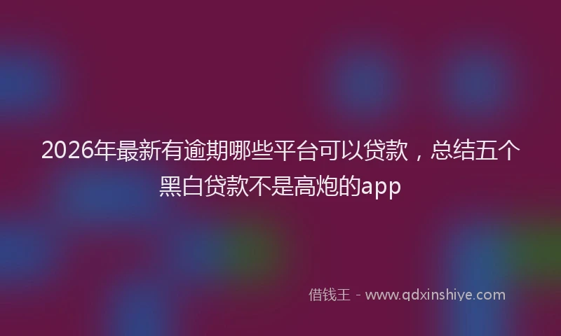 2026年最新有逾期哪些平台可以贷款，总结五个黑白贷款不是高炮的app
