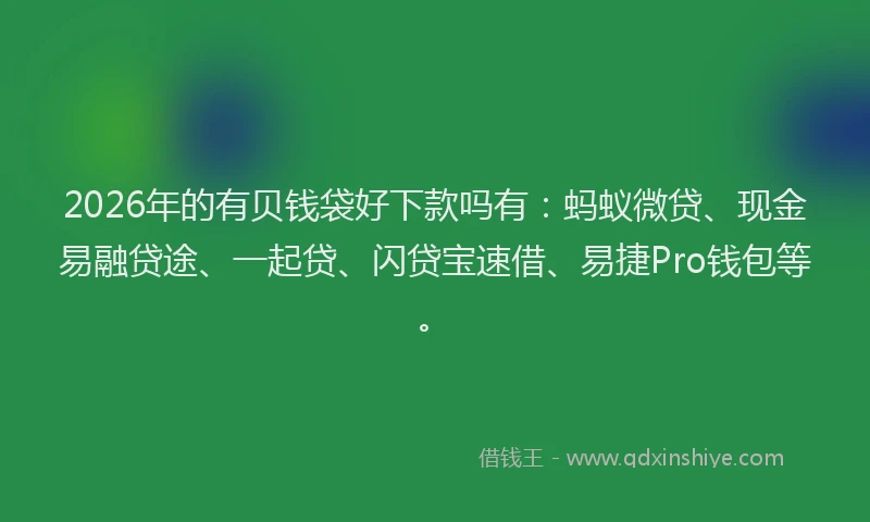 2026年的有贝钱袋好下款吗有：蚂蚁微贷、现金易融贷途、一起贷、闪贷宝速借、易捷Pro钱包等。