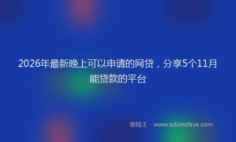 2026年最新晚上可以申请的网贷，分享5个11月能贷款的平台