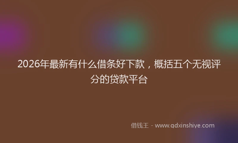 2026年最新有什么借条好下款，概括五个无视评分的贷款平台